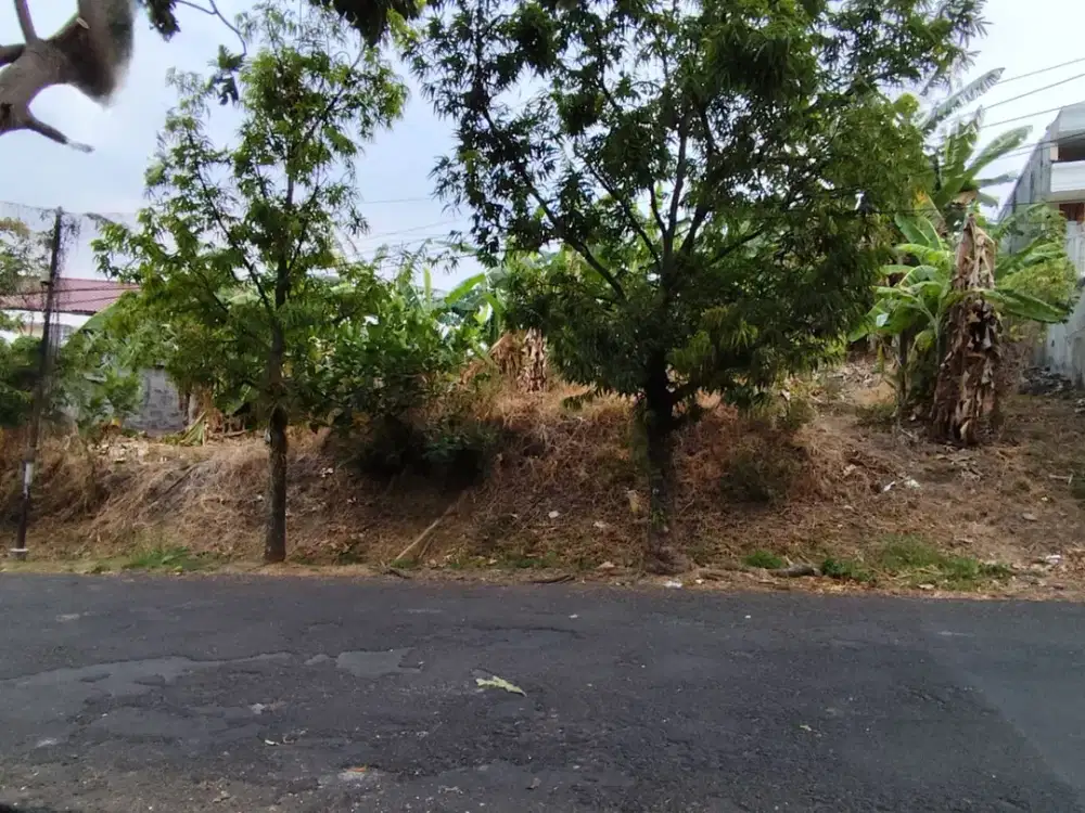 Jual Tanah siap bangun di Bukit Sari, Banyumanik. Semarang – 11913