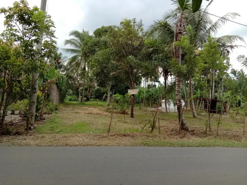 Dijual Tanah Kosong