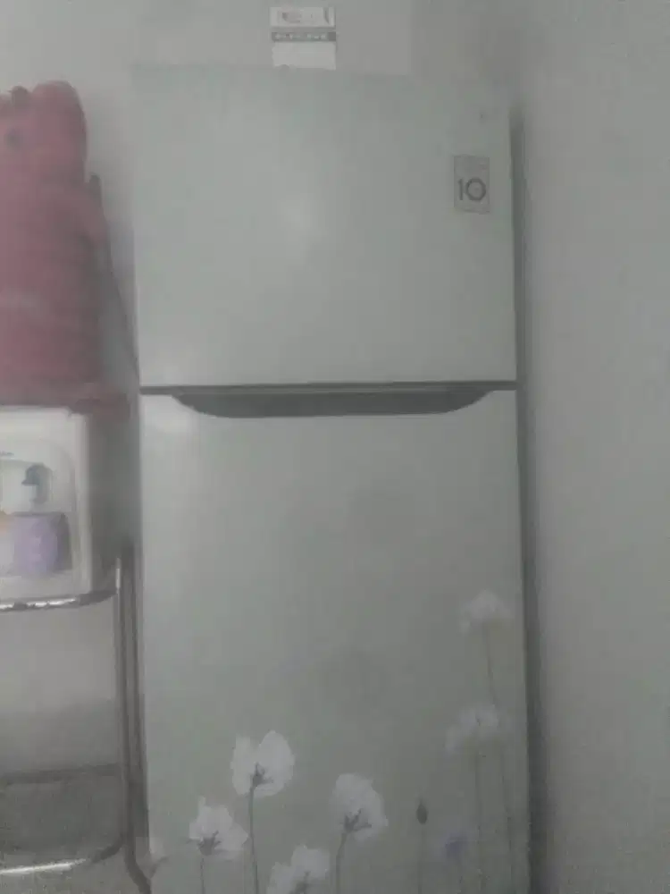 Kulkas LG 2 pintu