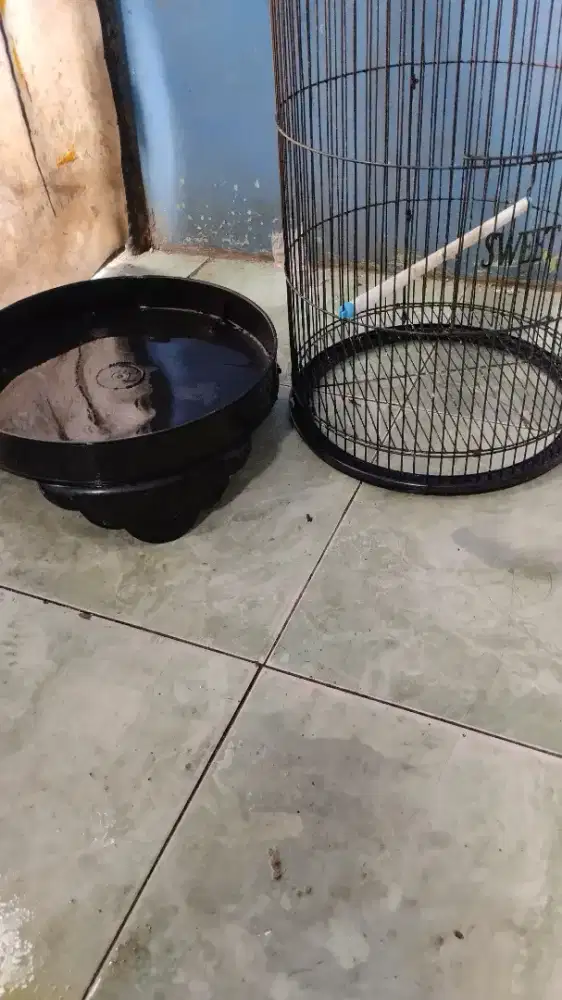 KANDANG BURUNG LOVEBIRD