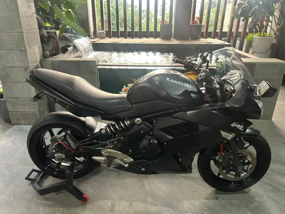 Kawasaki ER6F ( Ninja 650 build up )