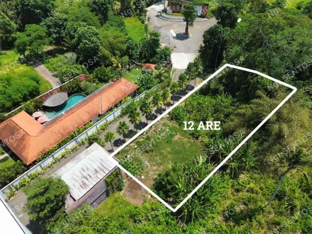 Tanah Sewa Kedungu For Lease