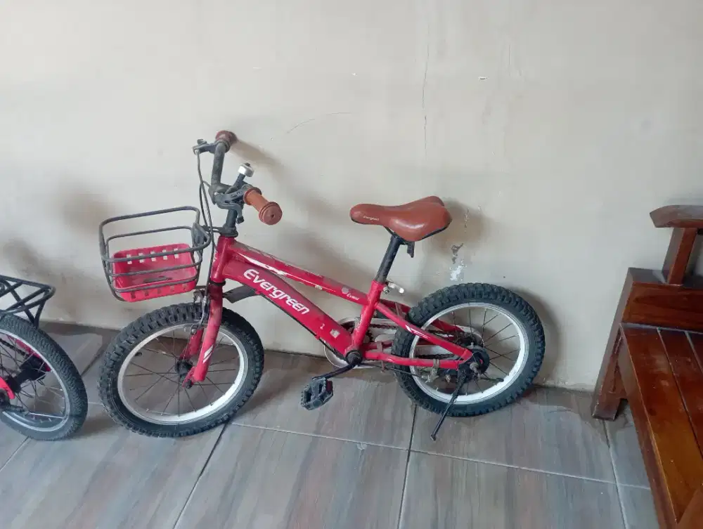 Sepedah anak cewek