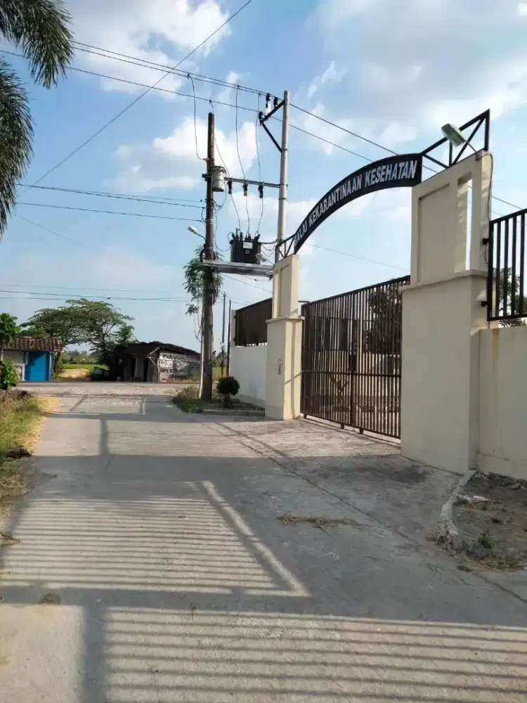 Dijual Sawah Area Bandara Adi Soemarmo