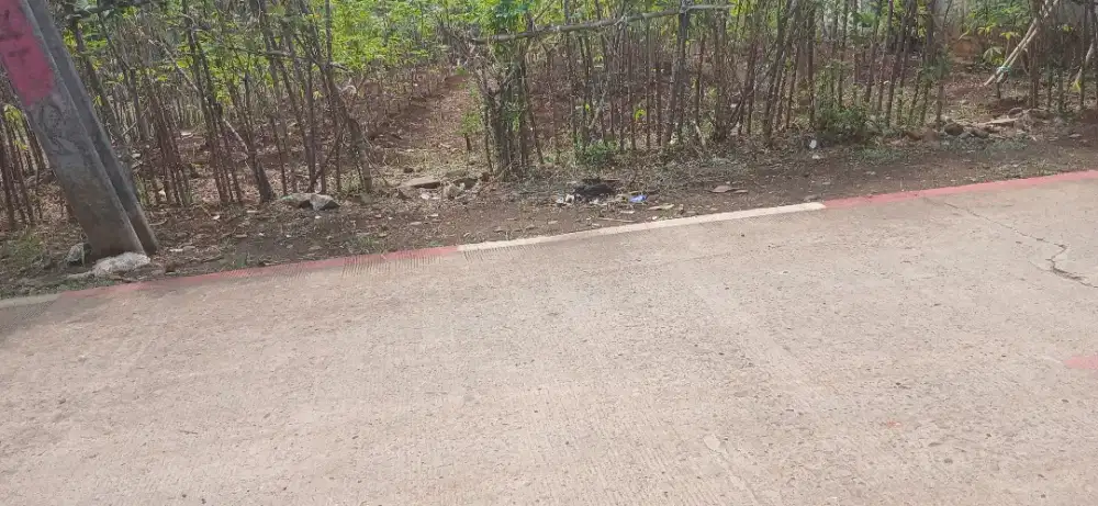 Tanah 100m  buat  rumah  tinggal  belakang  pasar  parung