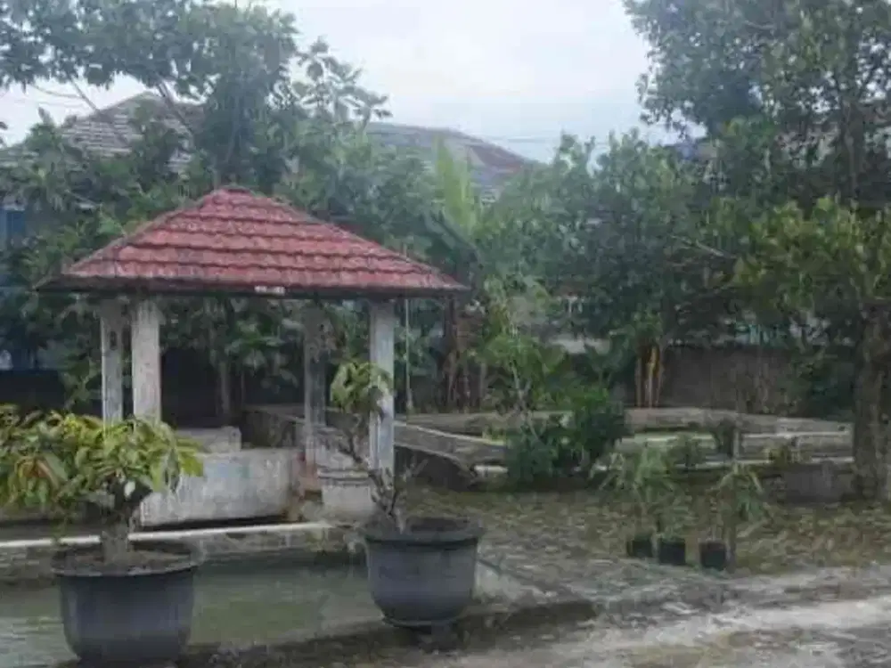 dijual rumah murah harga dibawah pasaran di jalan maduhur, pasir jaya, cigombong, kab. bogor