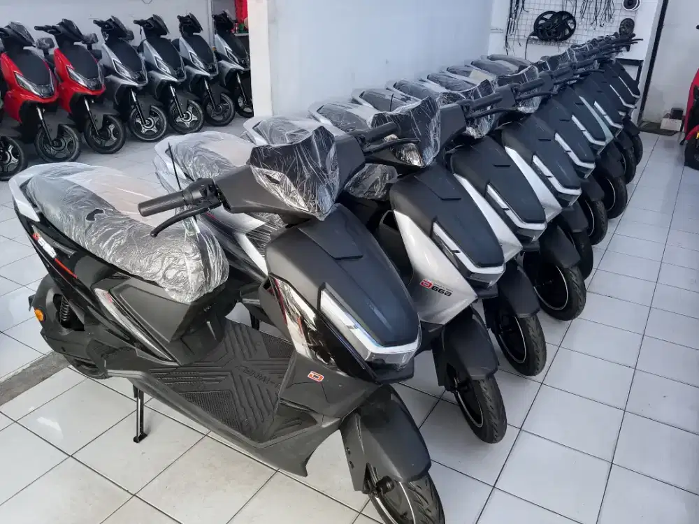 sepeda listrik d66b
