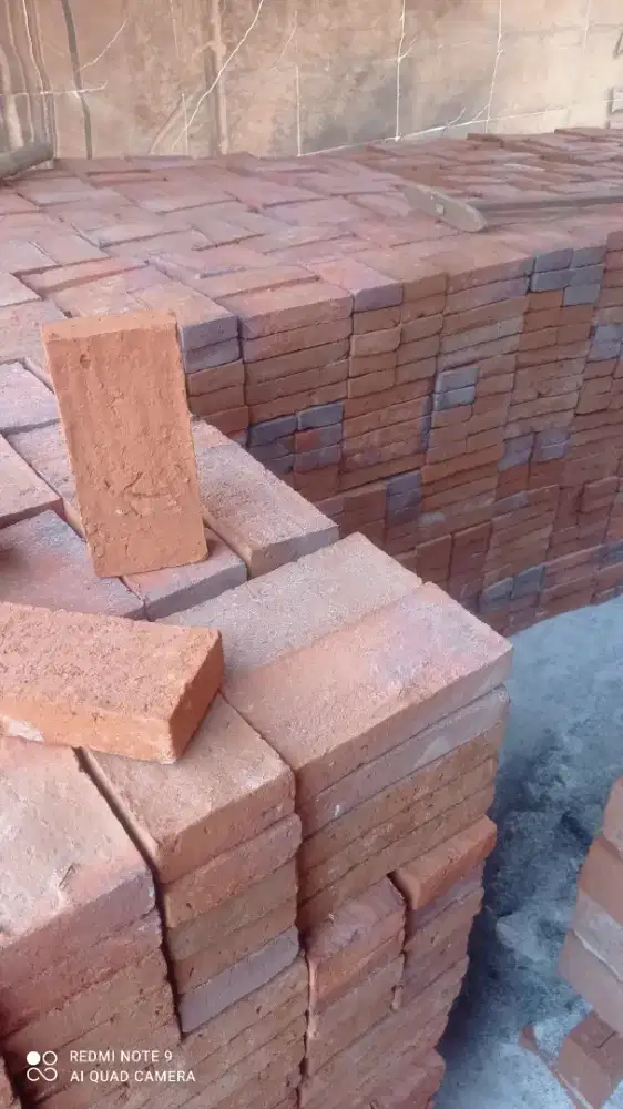 Bata merah buat bangunan rumah