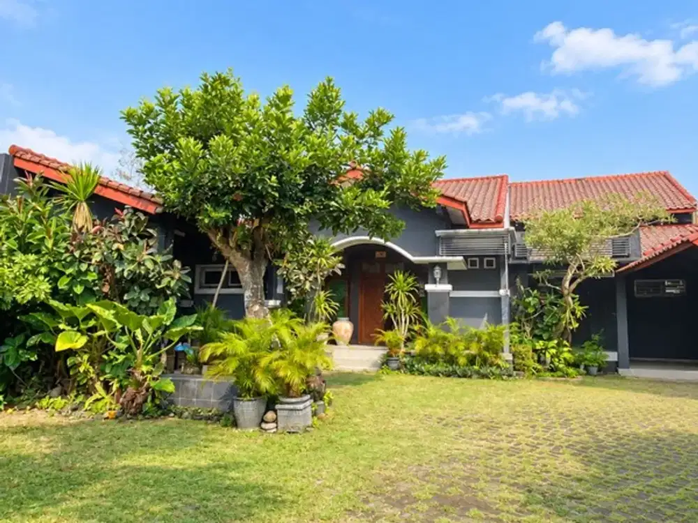 Rumah Tanah Luas Area Premium Jalan Damai