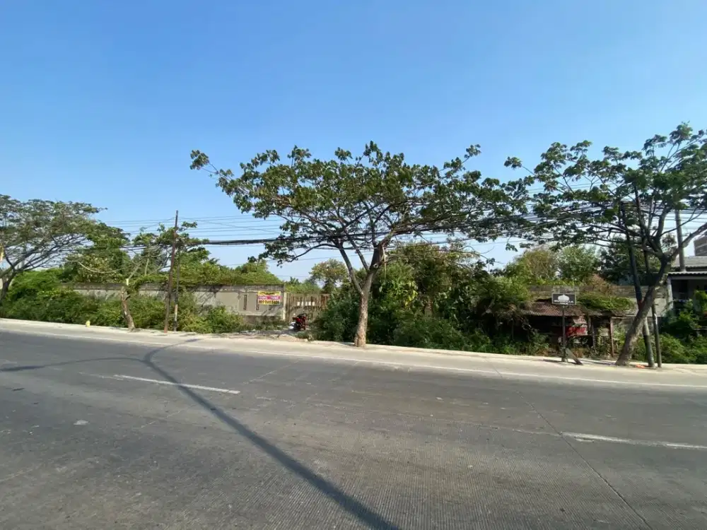 Dijual Tanah Lokasi Jalan Utama Di Jl. Kaligawe Raya Semarang