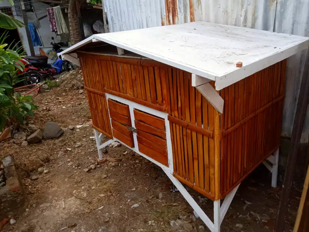 Kandang Ayam dan Ayam Pelung