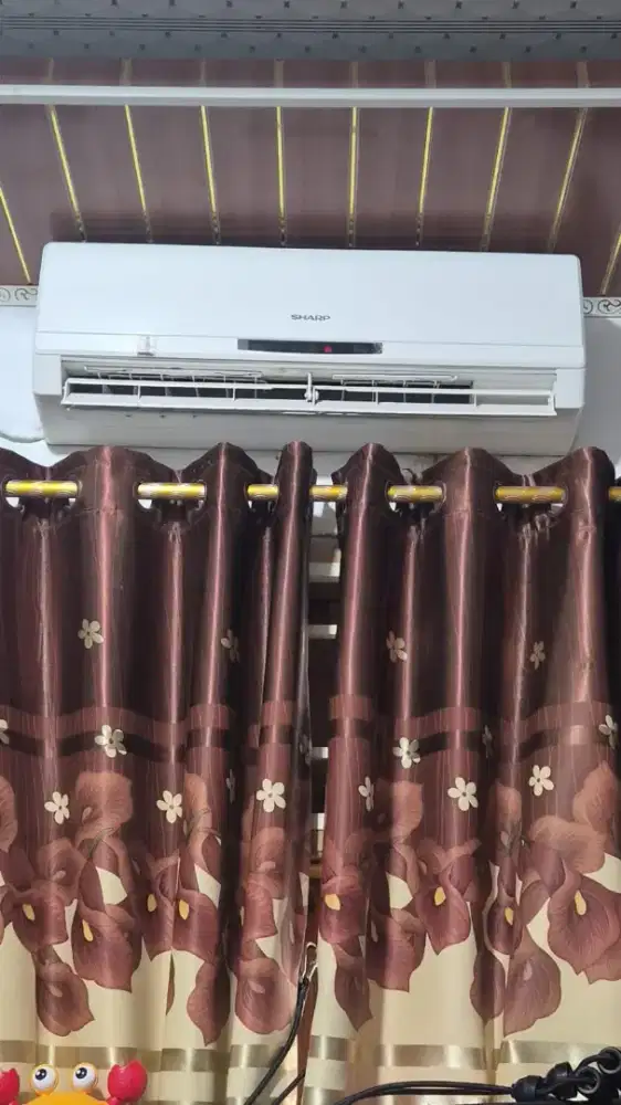 AC Sharp 1PK original