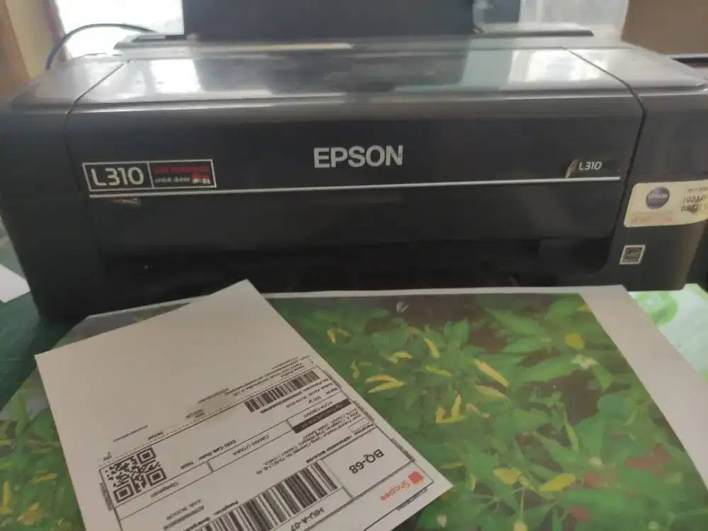 Printer Epson L310 Kondisi Istimewa