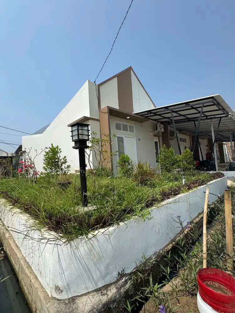 Rumah kontrakan dengan taman indah