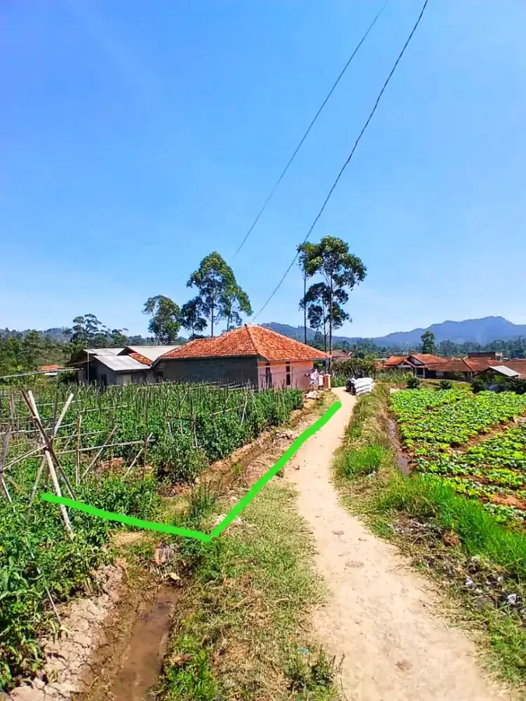 JUAL LAHAN KEBUN MURAH AKSES MOBIL AREA CIWIDEY
