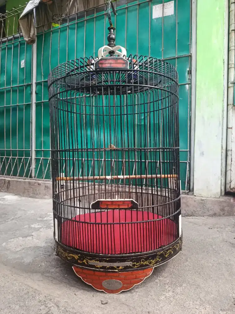 Kandang Murai No. 3 Rafi Kaya Fullset Kerodong