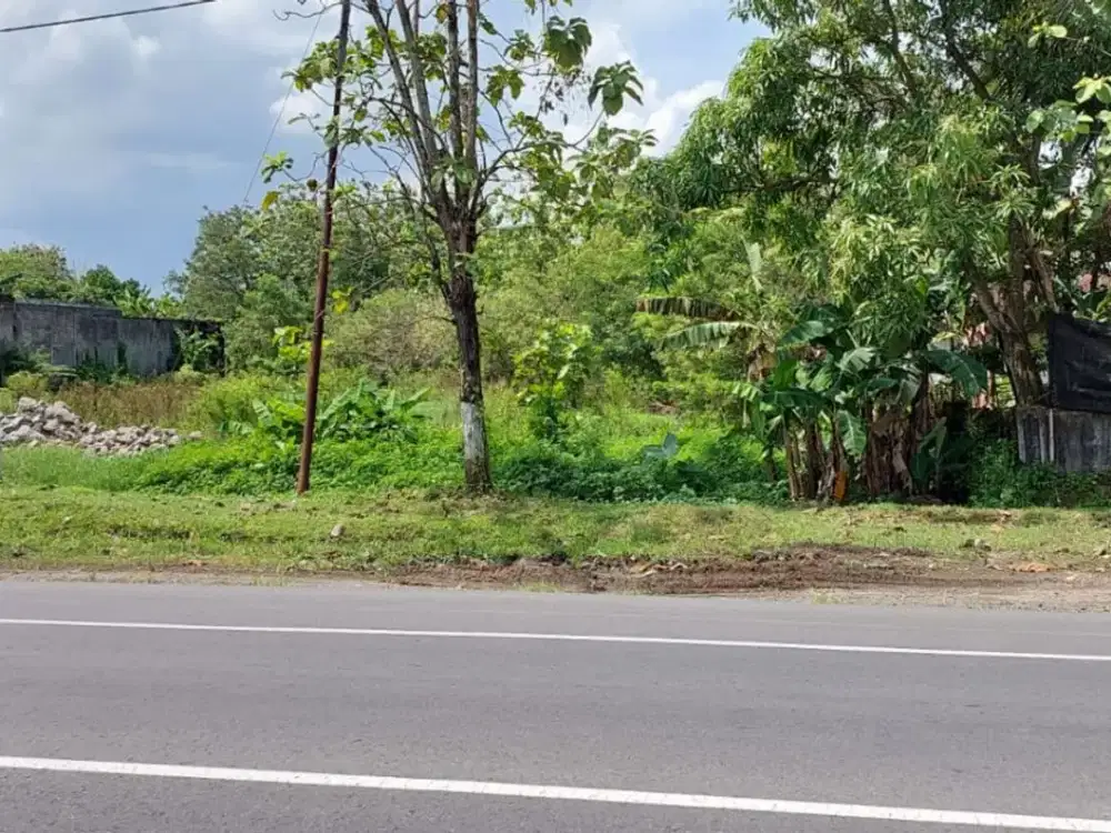 Dijual Tanah Komersial dStrategis i jalur Utama Wonogiri Sukoharjo
