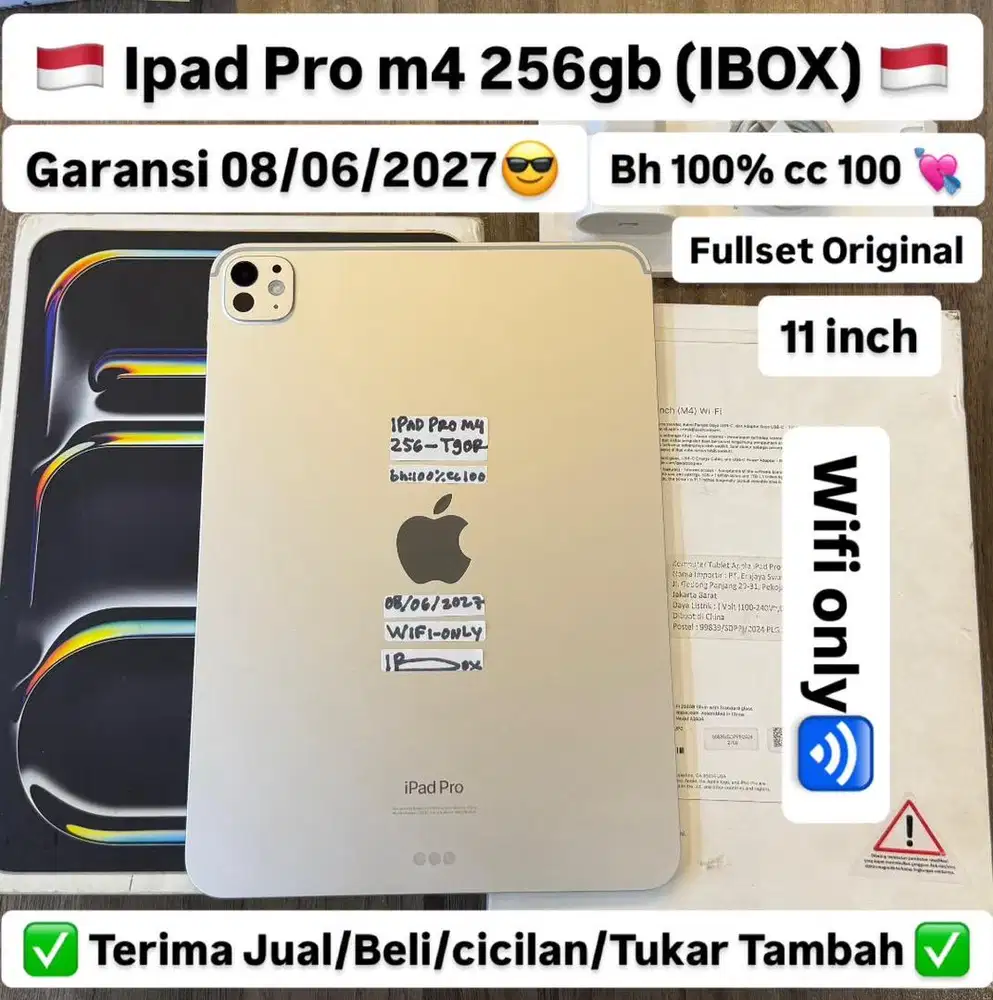 Ipad Pro M4 11 inch 256 Gb Silver Ibox masih garansi