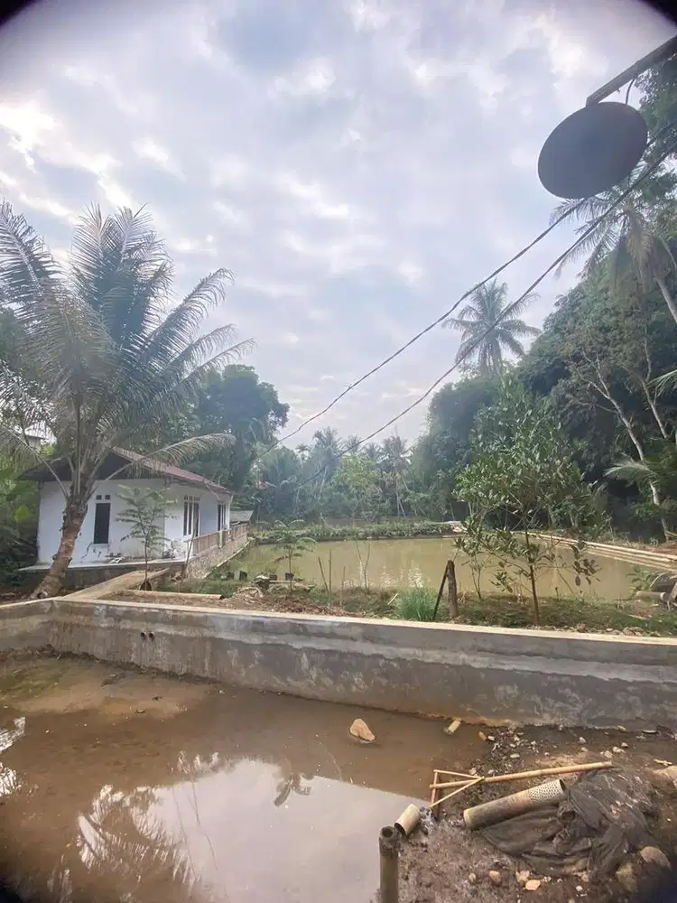 kolam perternakan ikan