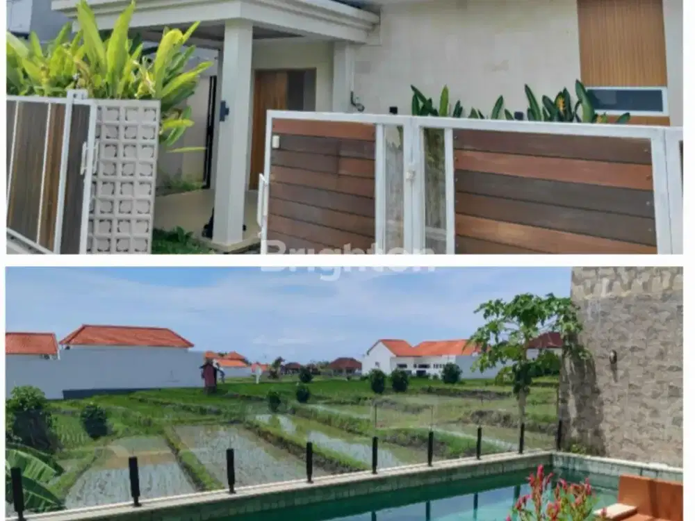 3 BDR FURNISHED VILLA NEXT TO A RICE FIELD at CANGGU