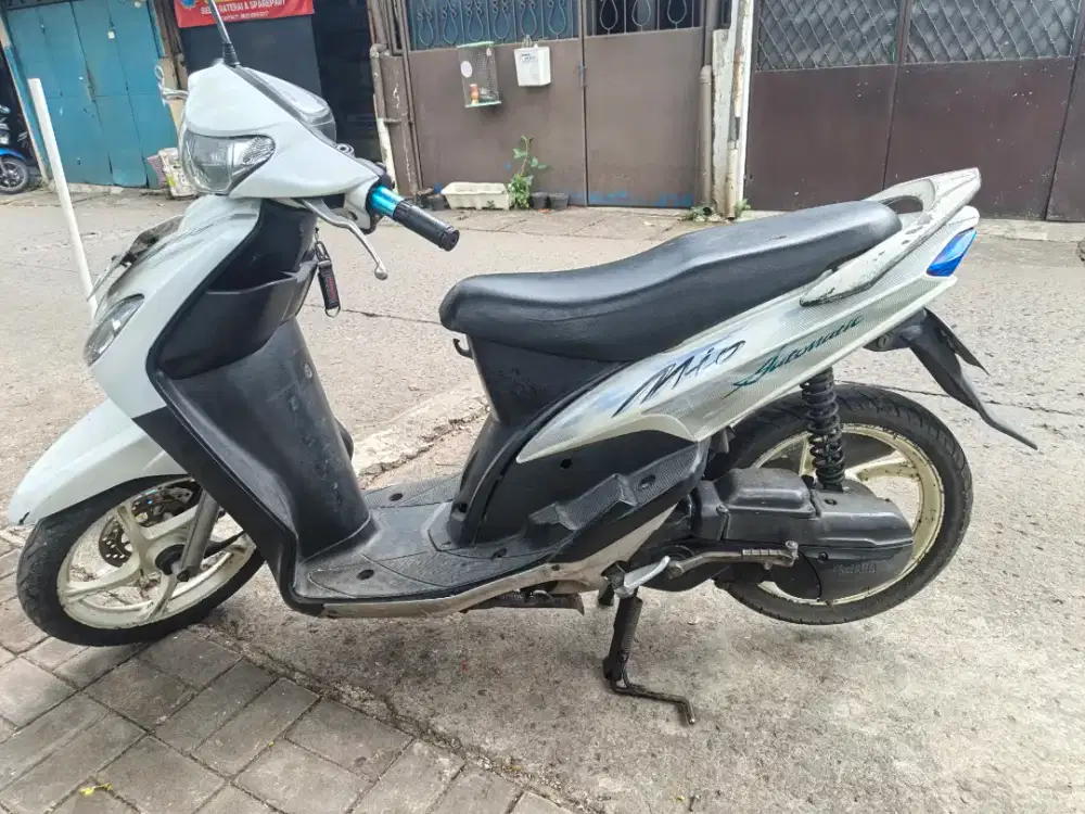 Mio Garnis 2009 Kodya
