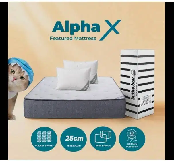 Kasur In.The.Box - Alpha X type 100x200 dengan ketebalan 25 cm