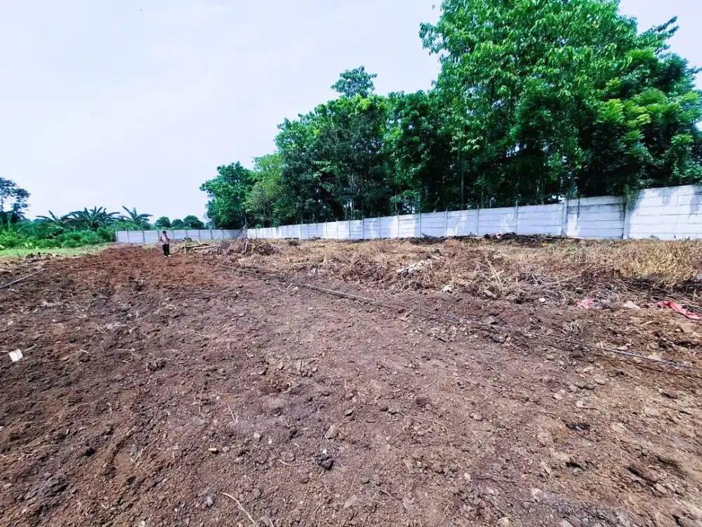Dijual Kavling Cisauk Tangerang Nempel BSD 5 Menit Stasiun Jatake