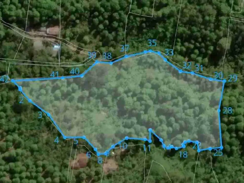 Tanah View Jungle 1,6 Ha dengan Lebar Depan 95 Meter