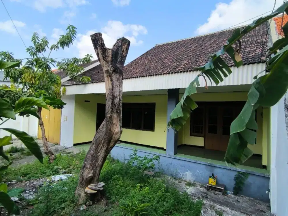 Rumah di Perak Barat Krembangan, Strategis Murah, Hadap ke Timur (Adem dan Asri)