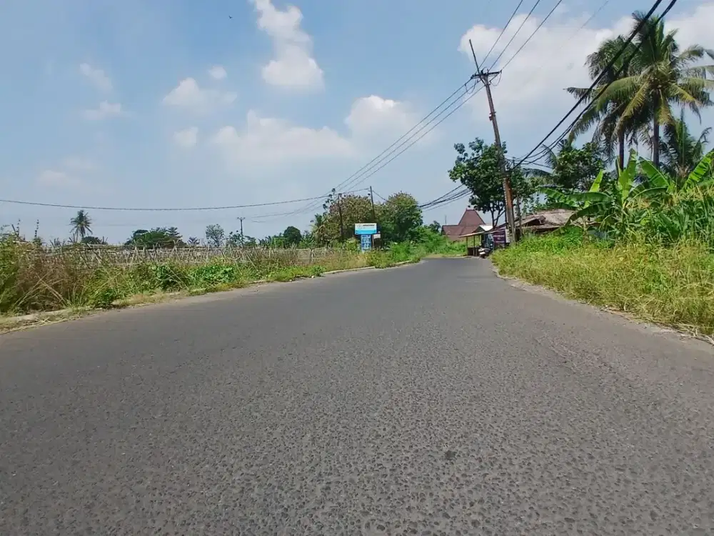 Tanah Kavling Indekos Area IPB Dramaga