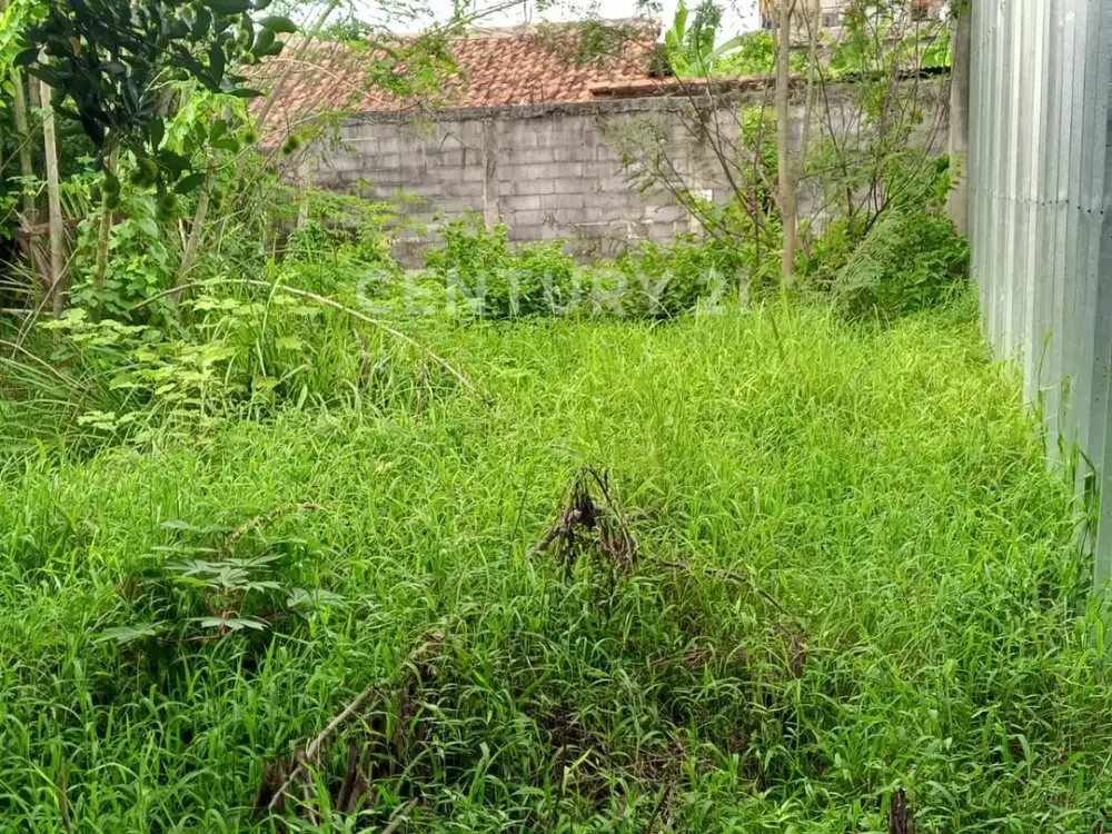 Tanah Di Subang Setelah Cikampek, Km 98
