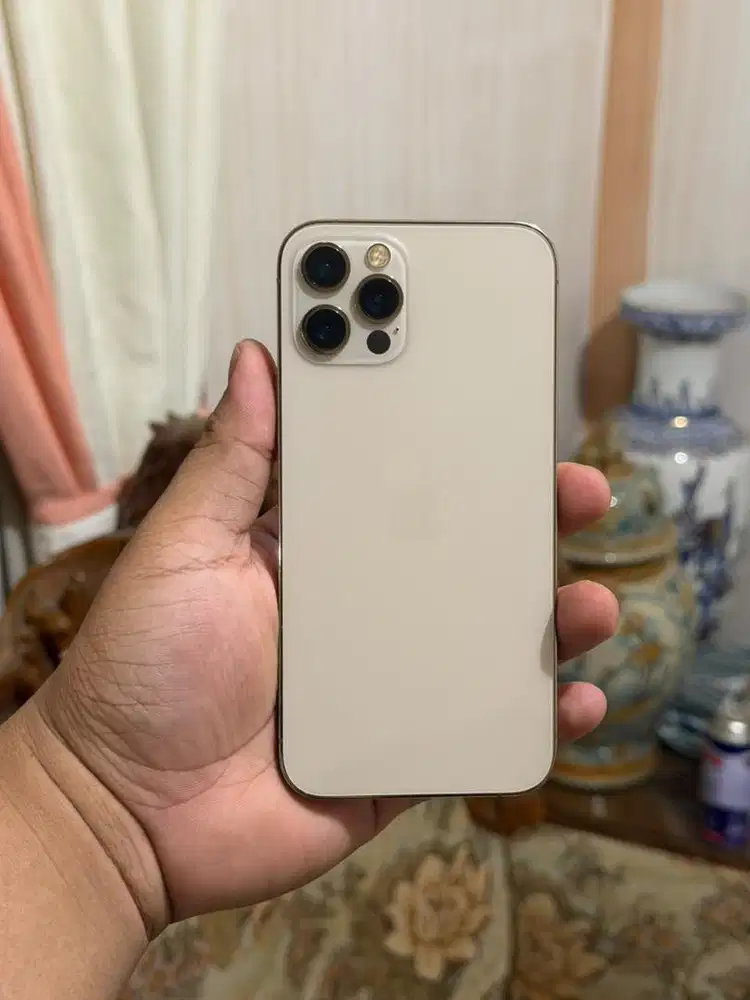 IPHONE 12 PRO - 128 GB - INTER