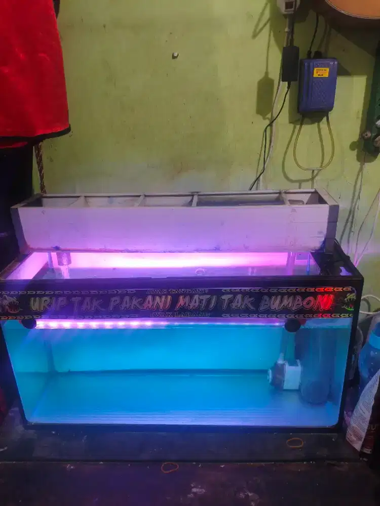 Aquarium 1 set  siap pakai