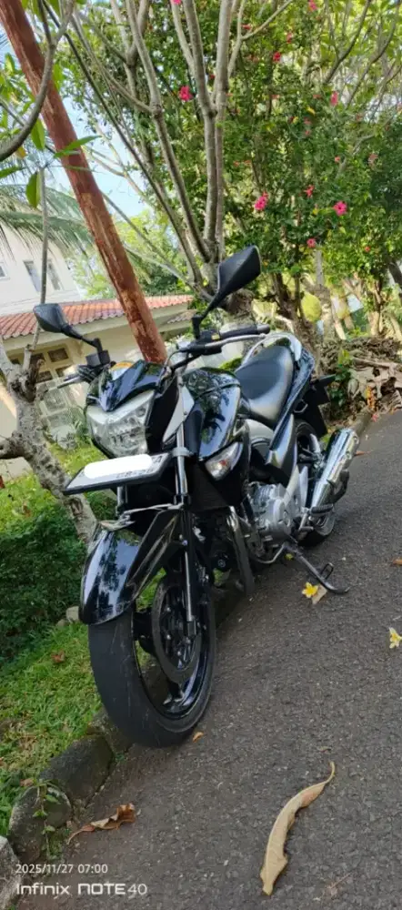 Suzuki Inazuma 250