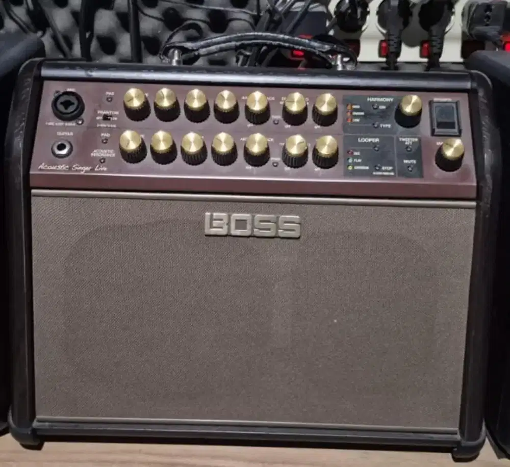 Boss Acoustic Singer Live 60-watt Bi-amp Acoustic Combo with FX
