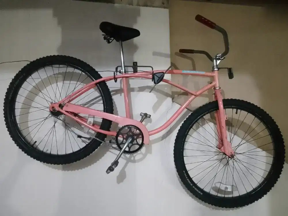 Giant cruiser 26