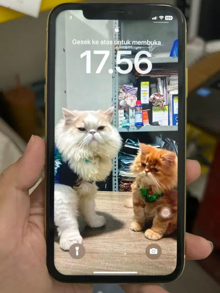 Dijual Iphone 11 kondisi mulus lengkap