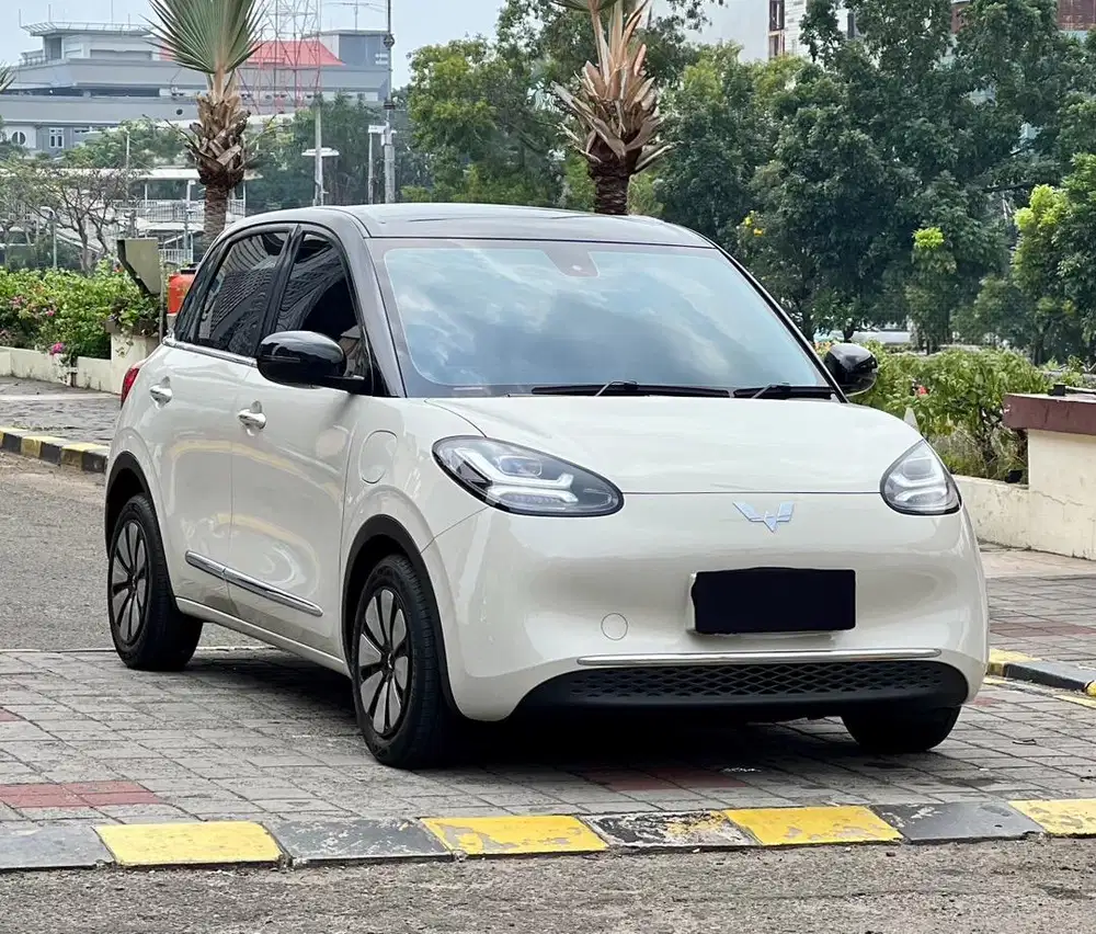 Wuling Binguo Long Range 410KM 2024 Like New
