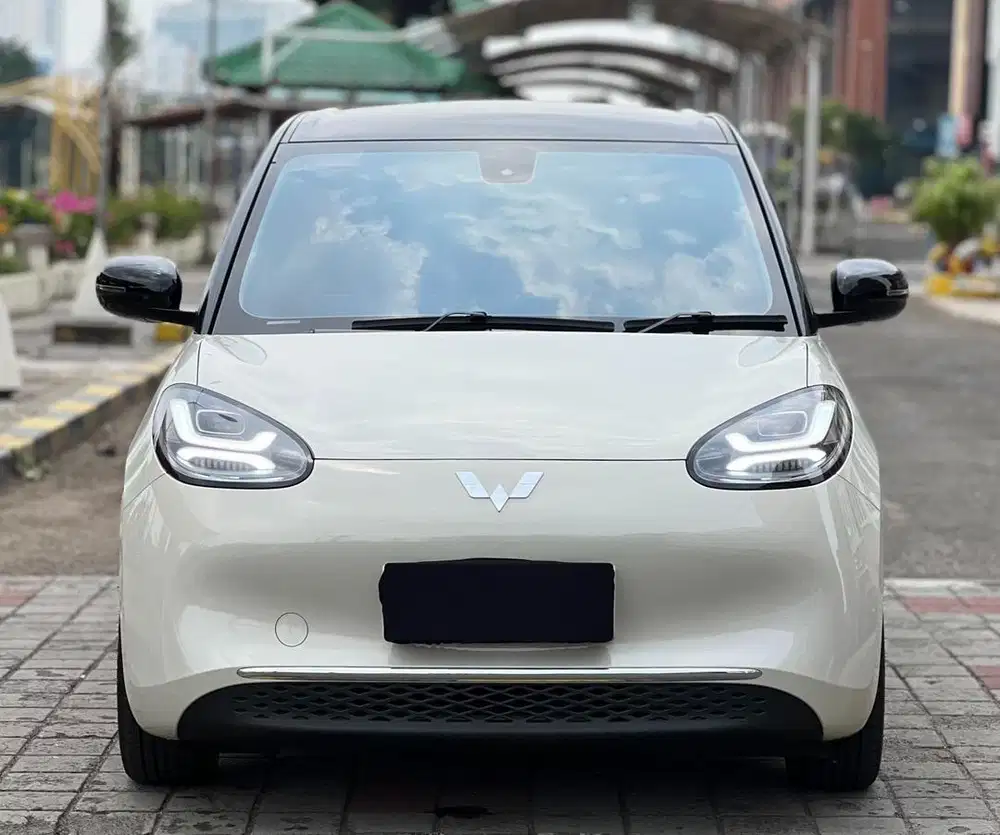 Wuling Binguo Long Range 410KM 2024 Like New
