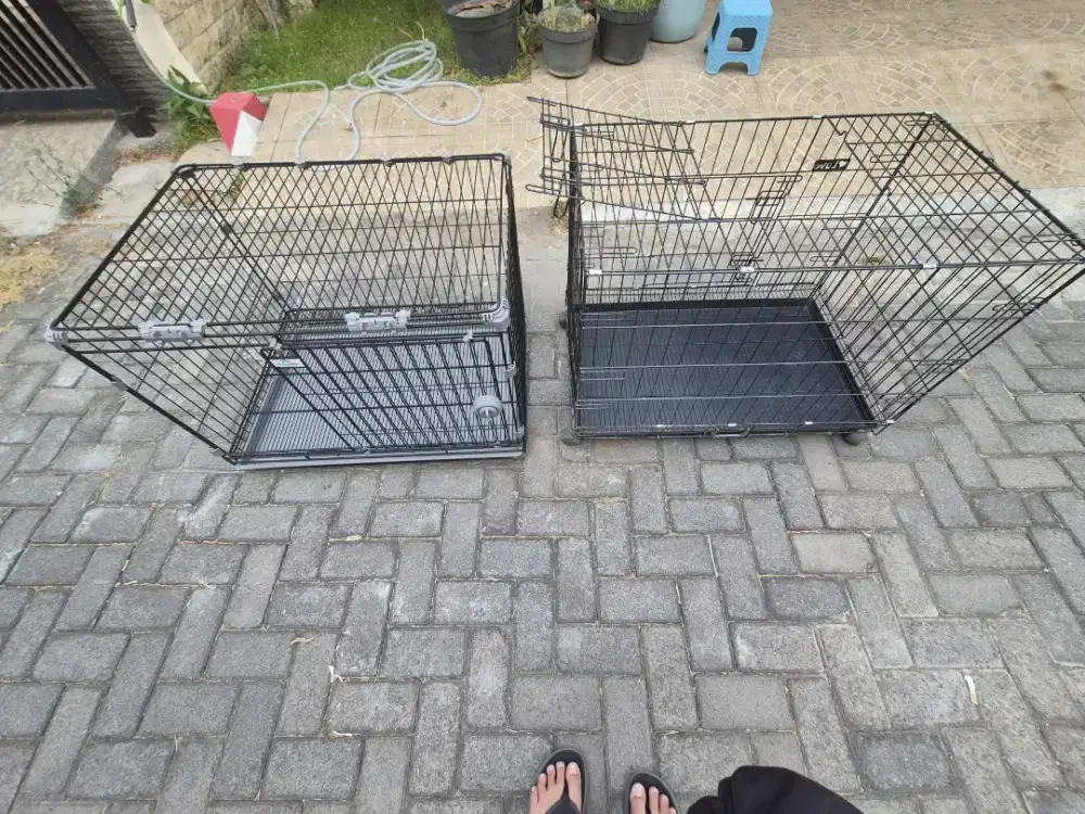 Dijual bundling kandang kucing