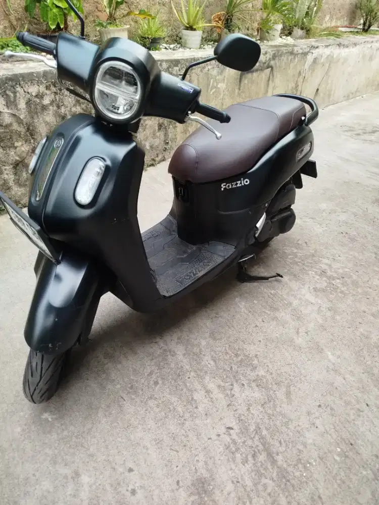 Fazzio lux 2023