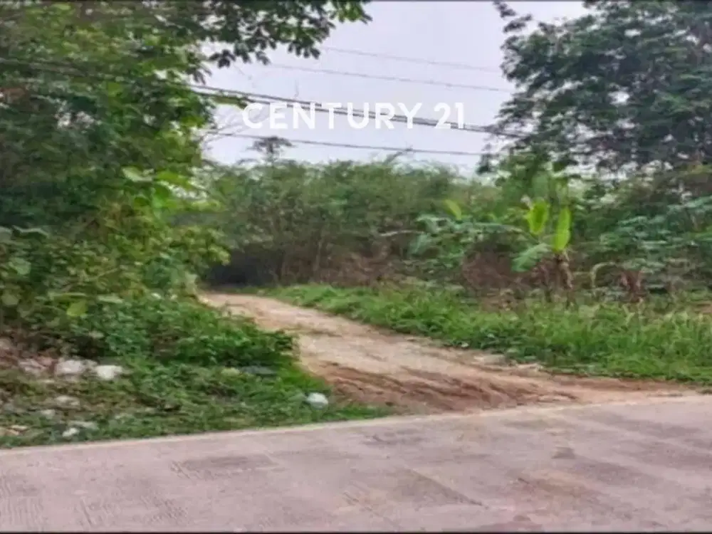 Dijual Kavling Di Maja Lebak Banten Cocok Untuk Perumahan