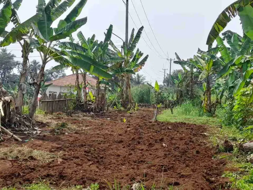 Tanah Produktif di Dramaga Bogor