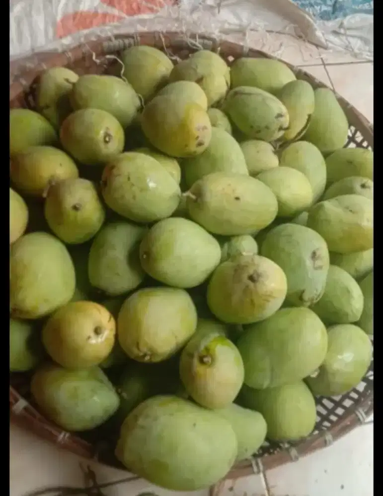Buah mangga harum manis,cengkir,golek.