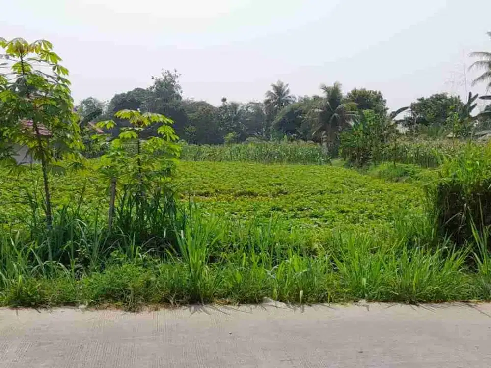 Tanah Datar Komersial di Dramaga Bogor