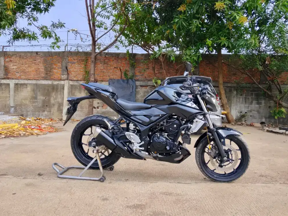 YAMAHA MT25 GRESS