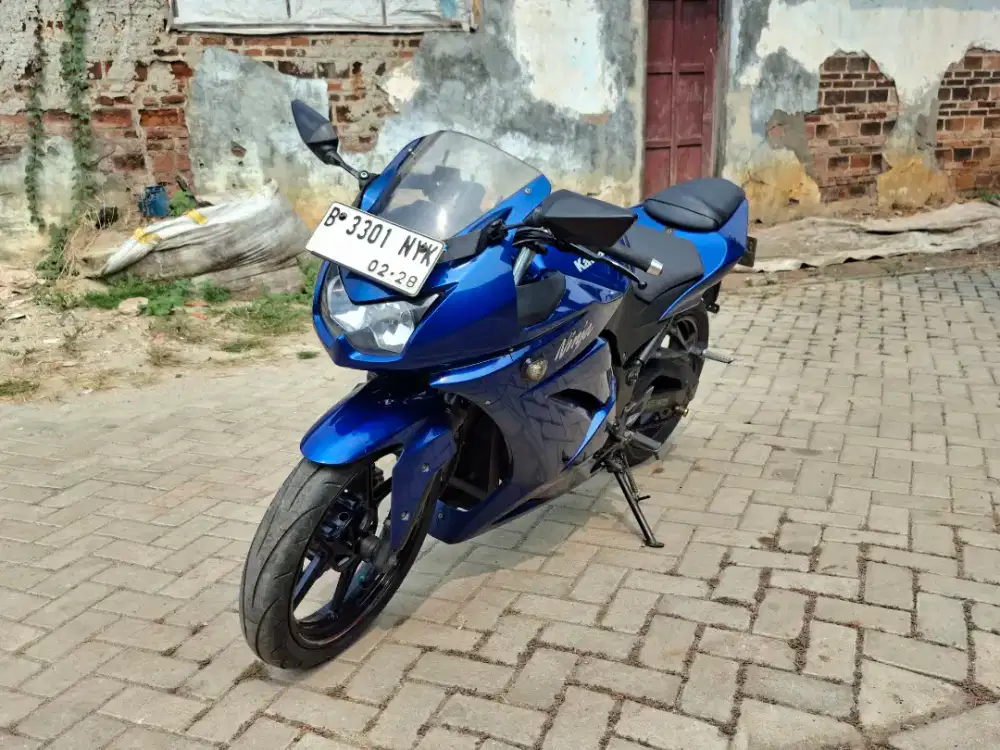 Ninja 250 karbu antik
