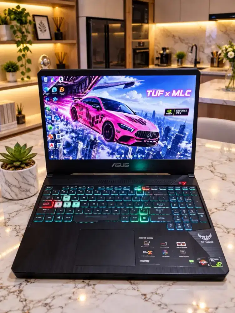 ASUS TUF GAMING FX505DD-317 [SSD 512Gb]