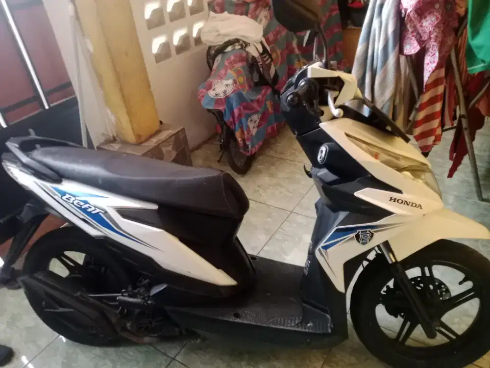 Jual biet eco 2019