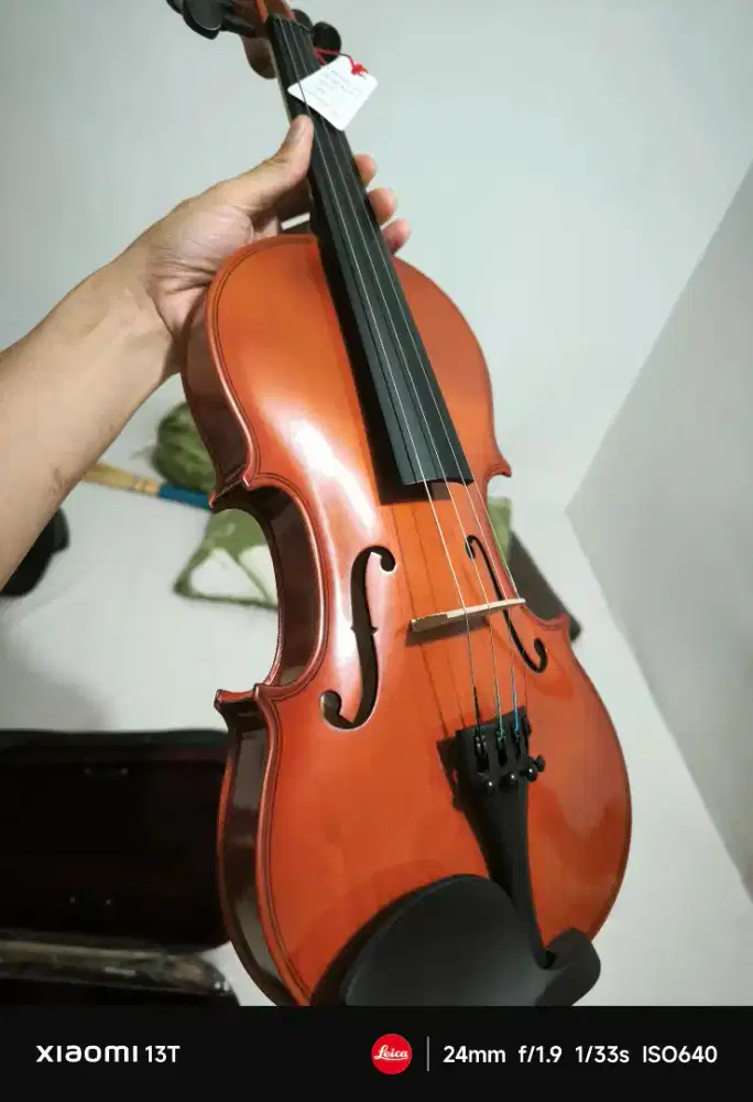 Biola Vienna Fullset New Mulus